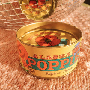Alaska Red Poppy - Grow Kit