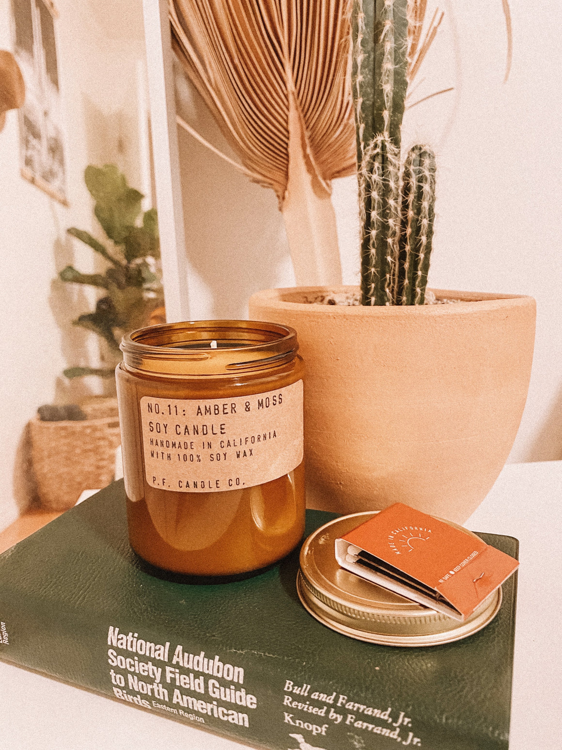 Amber & Moss-Soy Candle